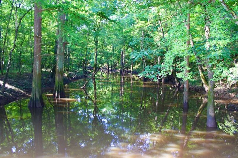 782BCD90-2887-4630-A137-D714F9321001_1_201_a