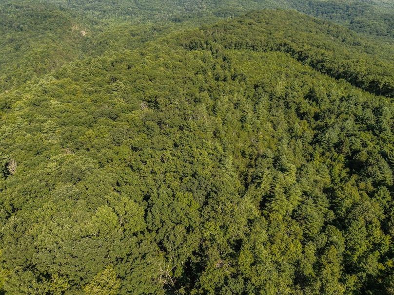 DJI_20250804172545_0004_D