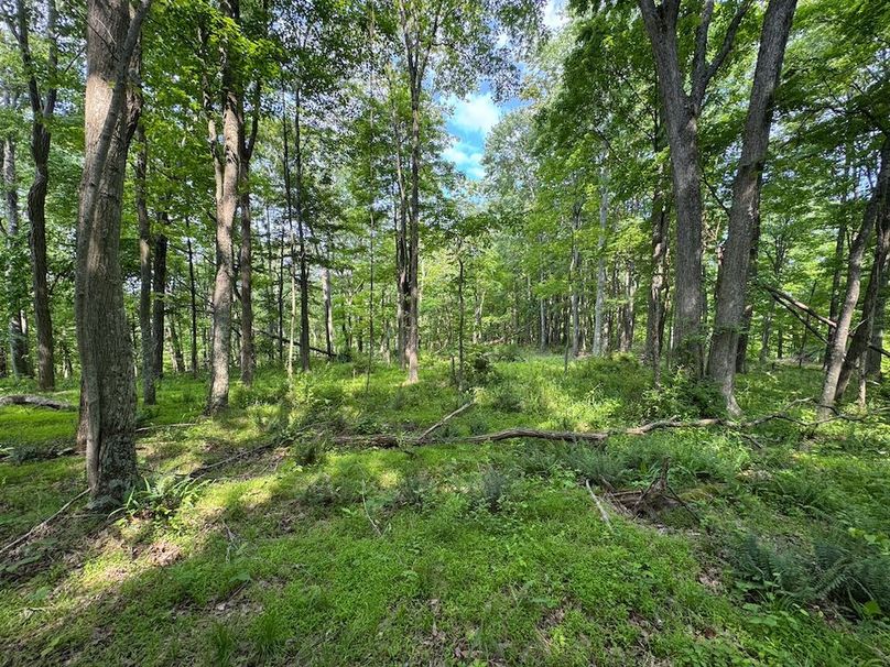 Pleasants, WV 168.59 AC Superior, Swank, Young-056