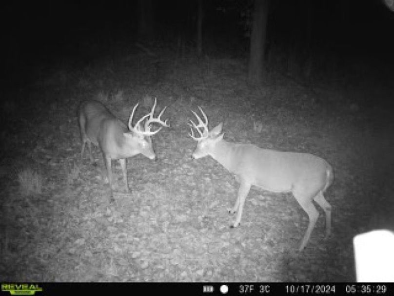 860322064793737-70-4-10172024053528-W1003427