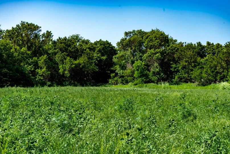 Smith Co, 32.9_065