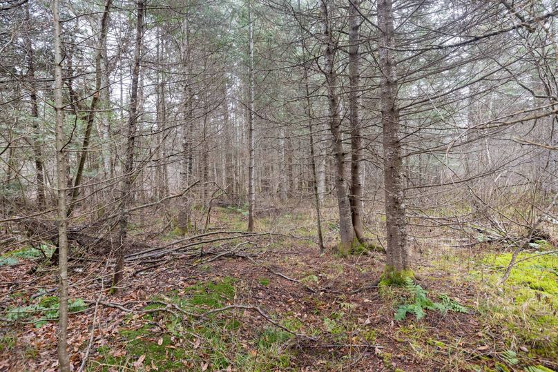 Mackinac 31.5 Noteboom-1665