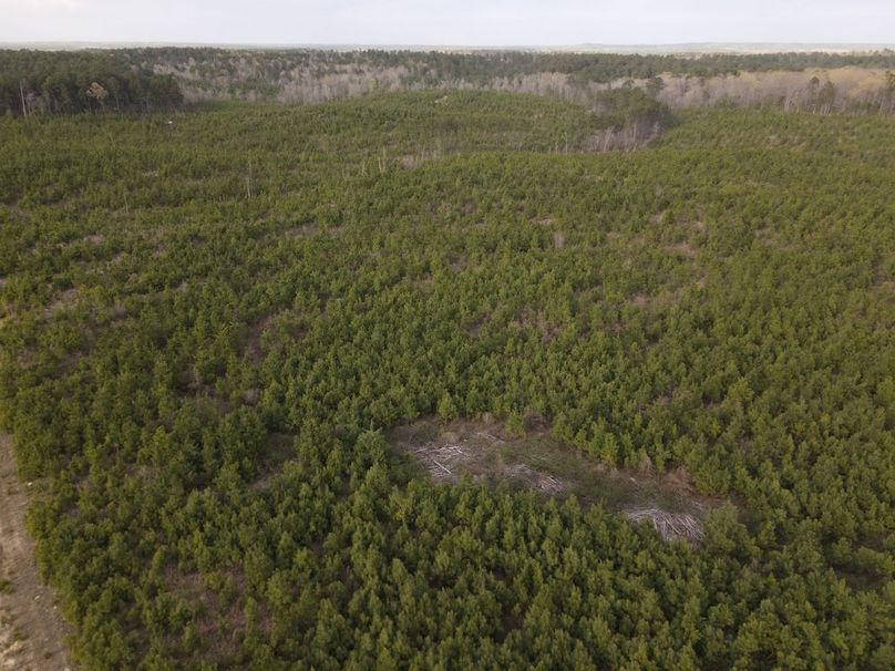 DJI_0084