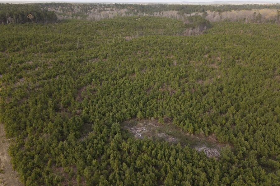 DJI_0084
