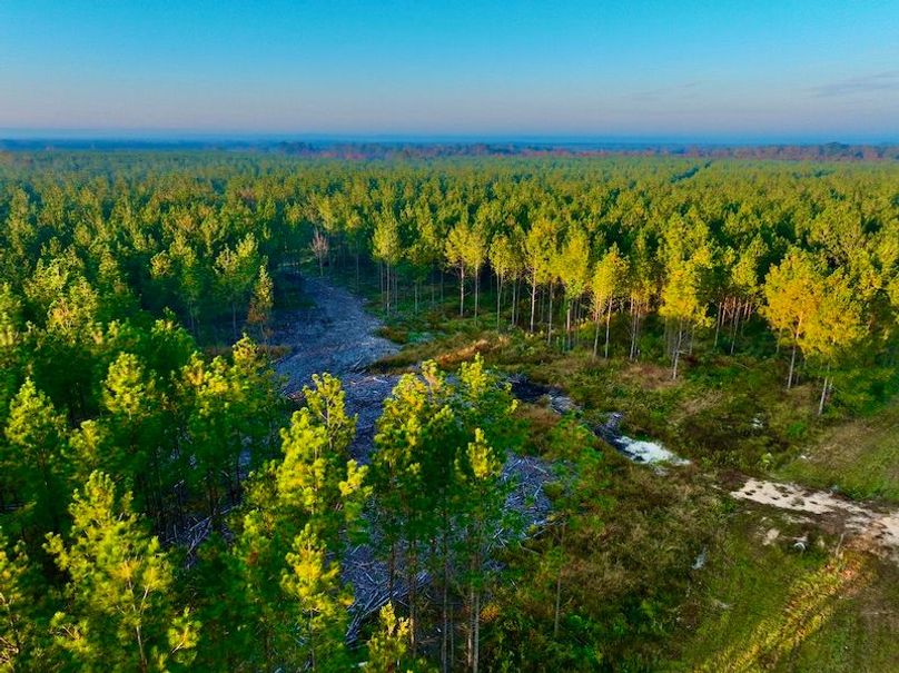 8FF16AD2-CCD7-4BE4-82F7-E0C8F05F890E_1_201_a