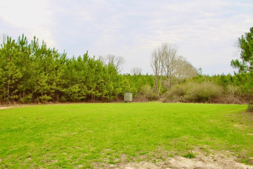 5F06D5AE-633F-4519-BE00-03007E13FF7D_1_105_c