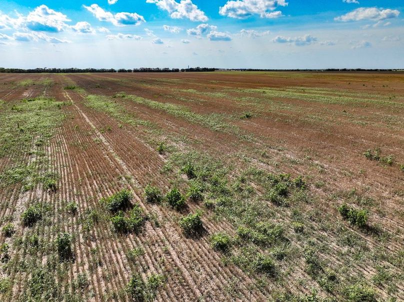 Mitchell Ks, 166.78_007