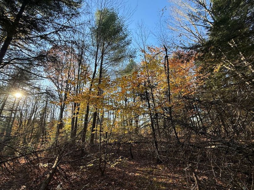 Oswego_26.28_Koehler Photo 34