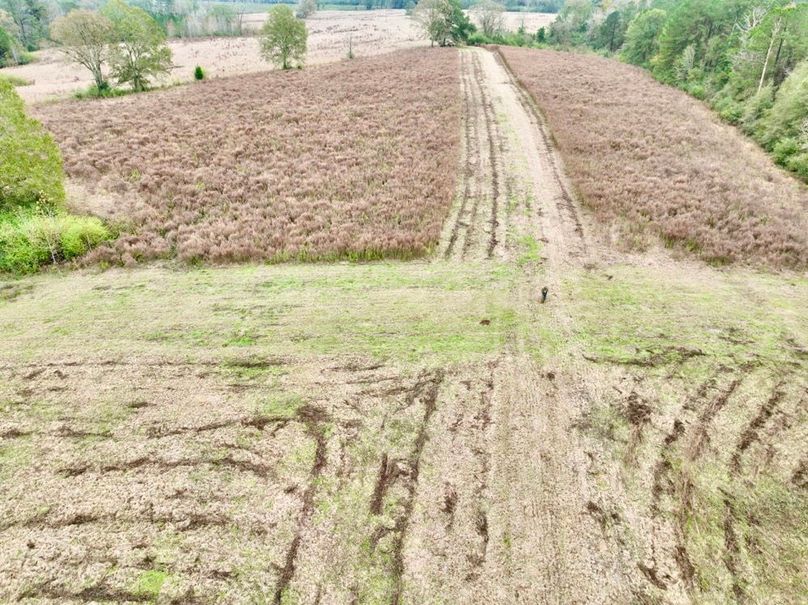 4183DA1D-02B1-461D-B14B-ADB16AA31834_1_201_a-2