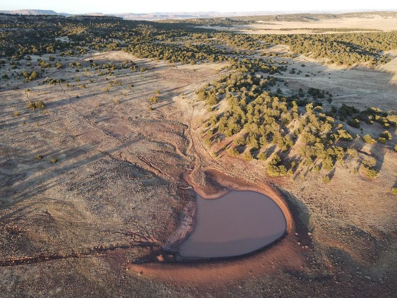 37_Pratt Habitat sunset 6