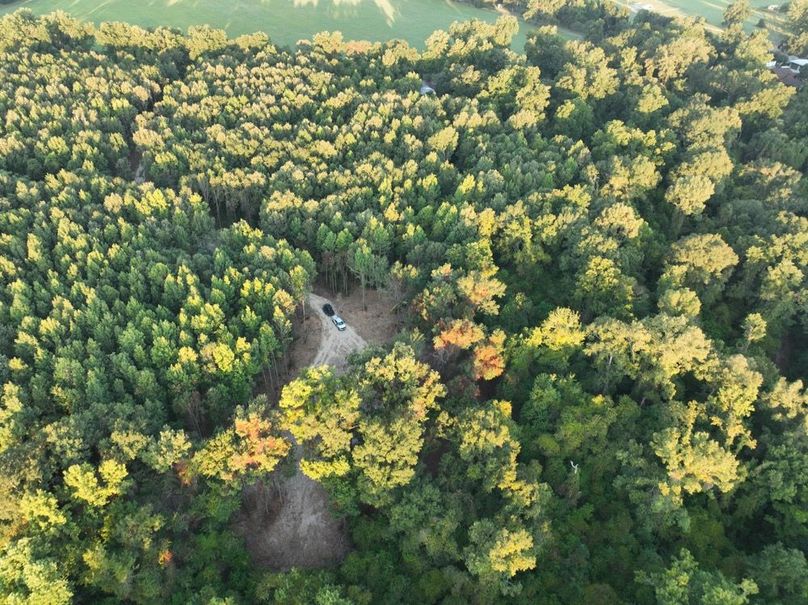 dji_fly_20250909_072646_194_1757426903057_photo