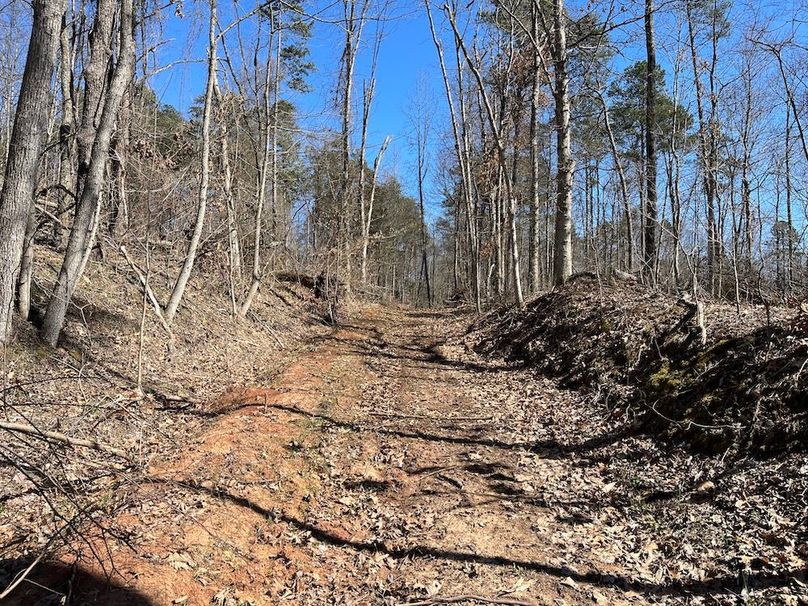 Photo 2024-03-24 08.52.40 PM