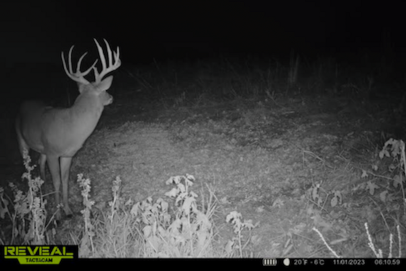 trail cam6