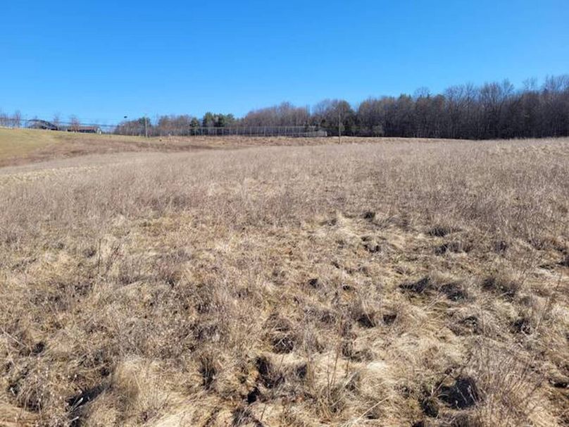 11067406-NPlcj56gHvznsbZ4