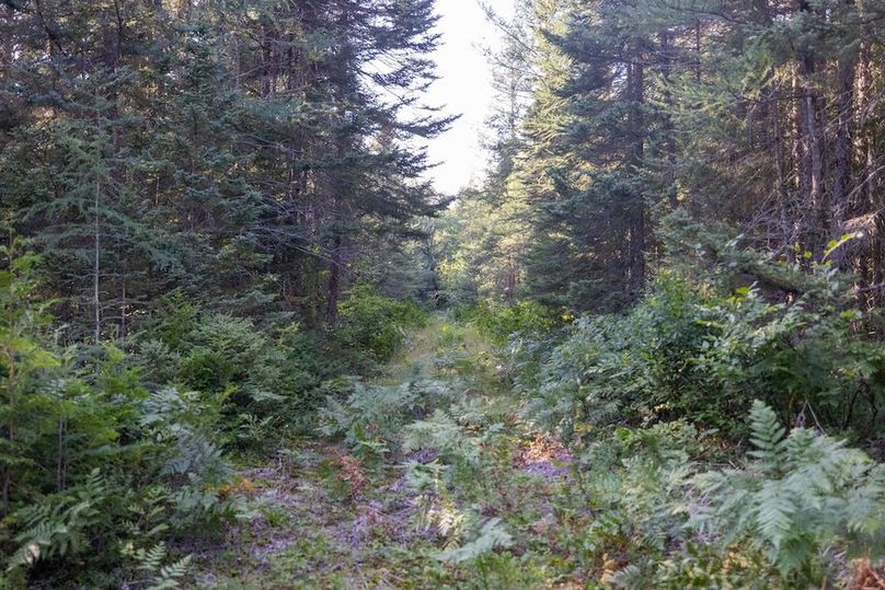 Mackinac 320 Copenhaver-89