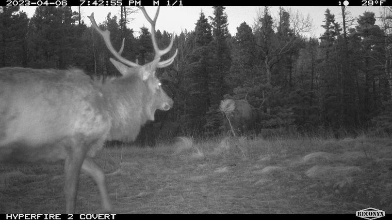 MBL_0065_286165163047604