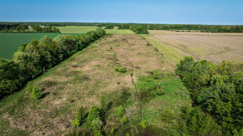 DJI_20250428084439_0048_D