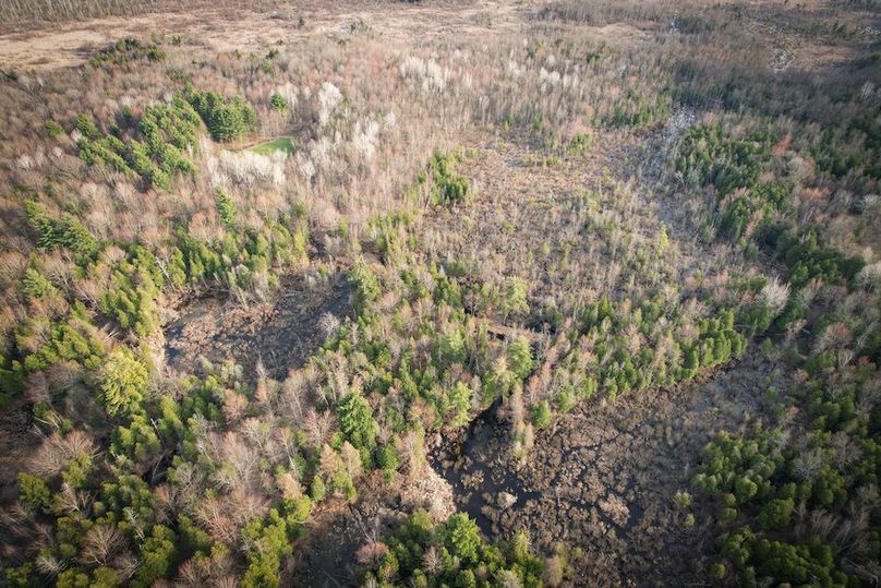 StLawrence_142.7_Bosse_Photos_26