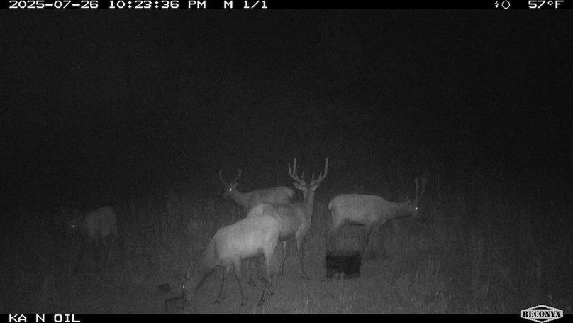 5C849877-E178-49EB-9298-F9C0E18C6831