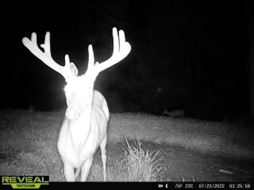 f80e97be-7bcb-4f14-98e9-f0497b17a460