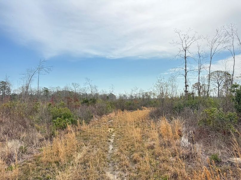 D5E43F3C-9C78-43C3-B1C6-70E10C0597C4