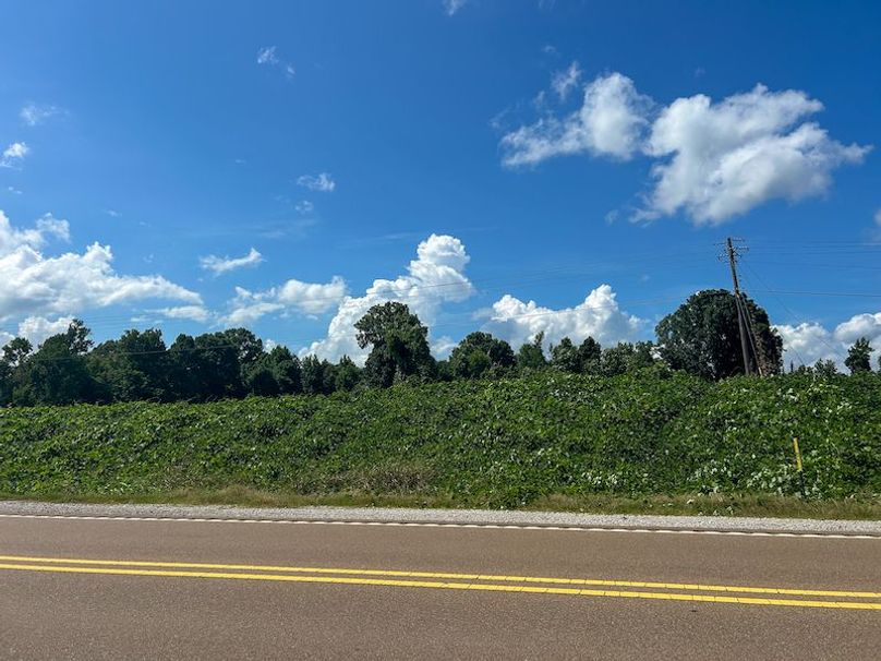 Yazoo Co - 7.3 - Hoffman-22