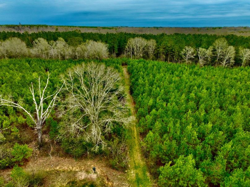 61D60644-FD52-427B-B183-AACDE28B3F84_1_105_c