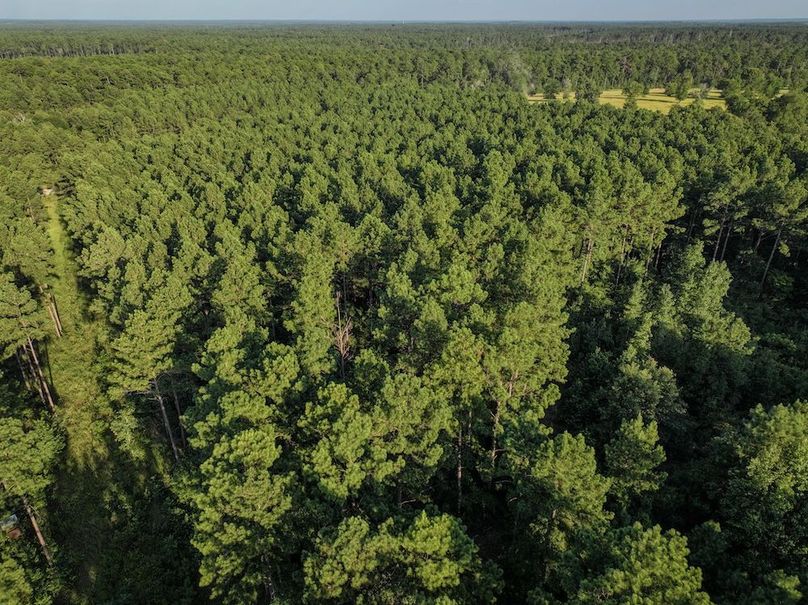 Copy of DJI_20240704190915_0037_D