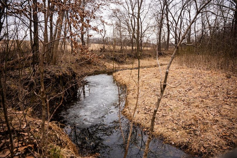 Pike IL 96.87 Adv Pro Photo-42