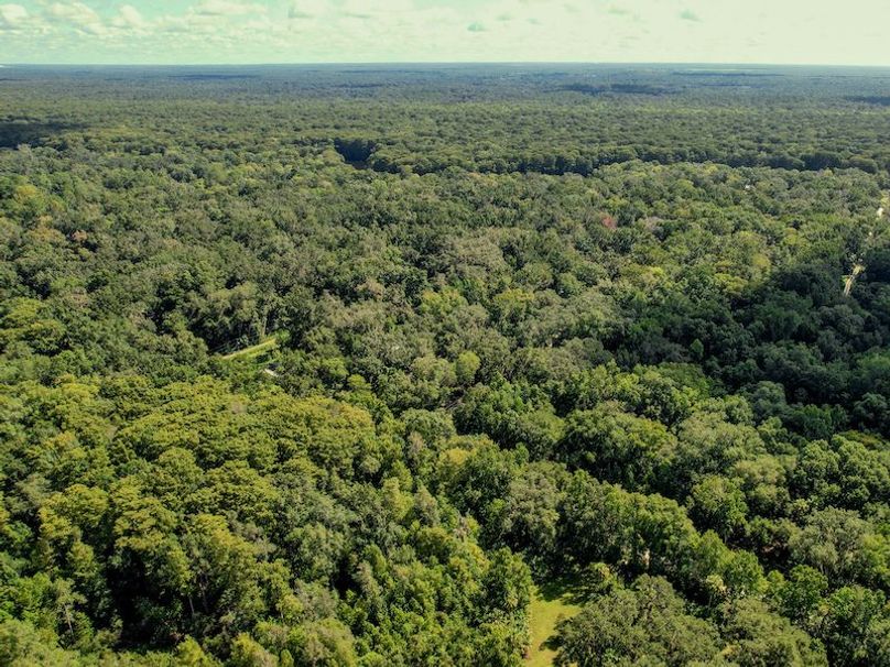 1.01ac, Citrus, Josiah Ronco10