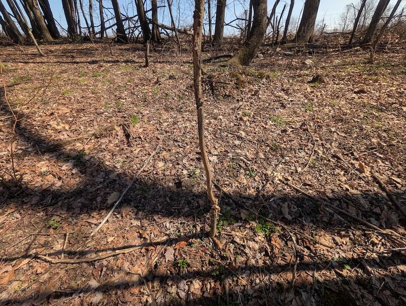 PXL_20260326_162243862.MP