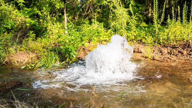 MadisonParLa1372-148