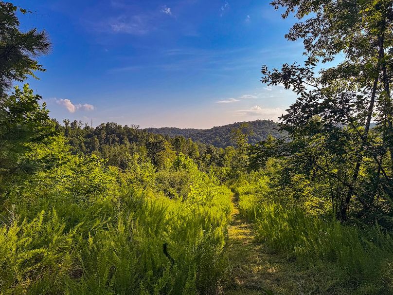 Lewis, WV 82.87 AC Barger-068