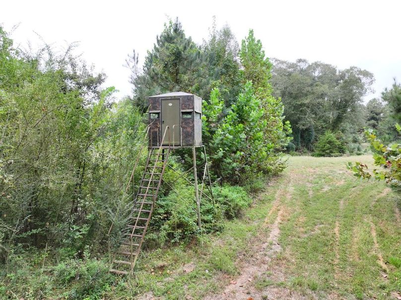 dji_fly_20250924_094430_0533_1758726285492_photo