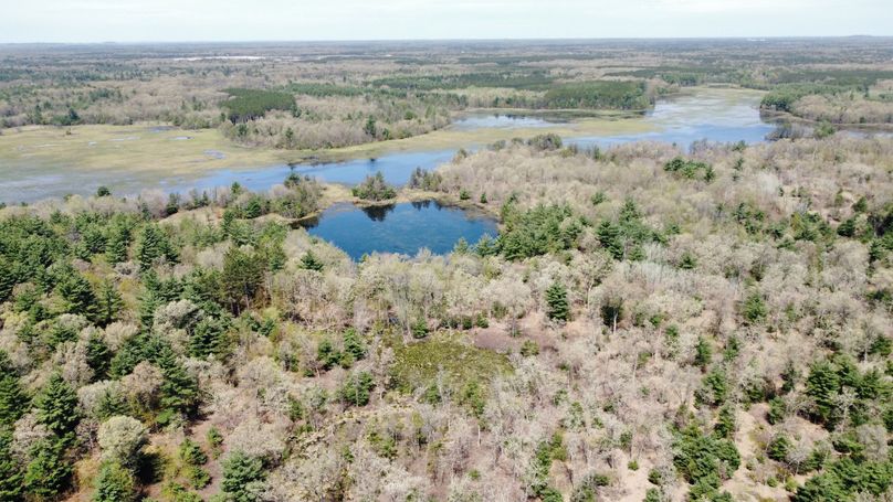 dji_fly_20230511_113714_437_1683838315384_photo_optimized