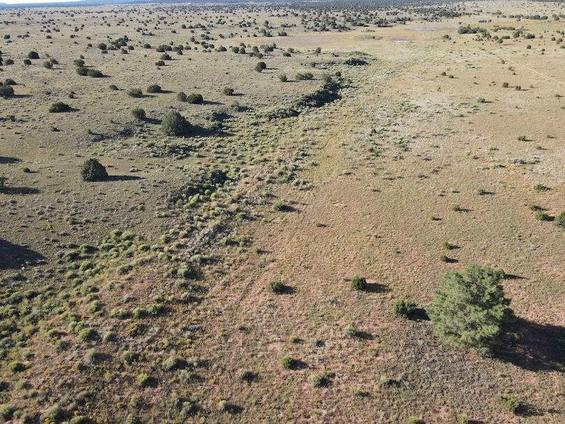 dji_fly_20240816_082146_545_1723818128035_photo