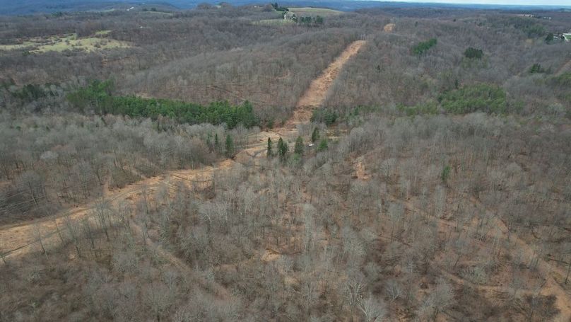 dji_fly_20260323_131904_173_1774365648005_photo