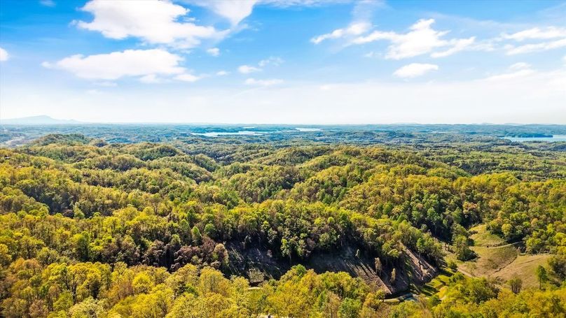 61-2278 Lower Rinehart Rd 052