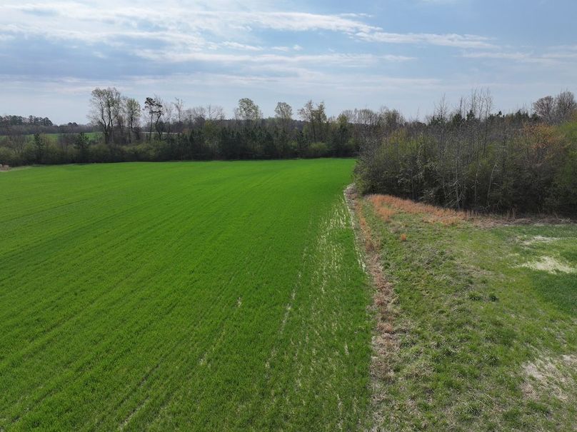 DJI_20260303064427_0578_D