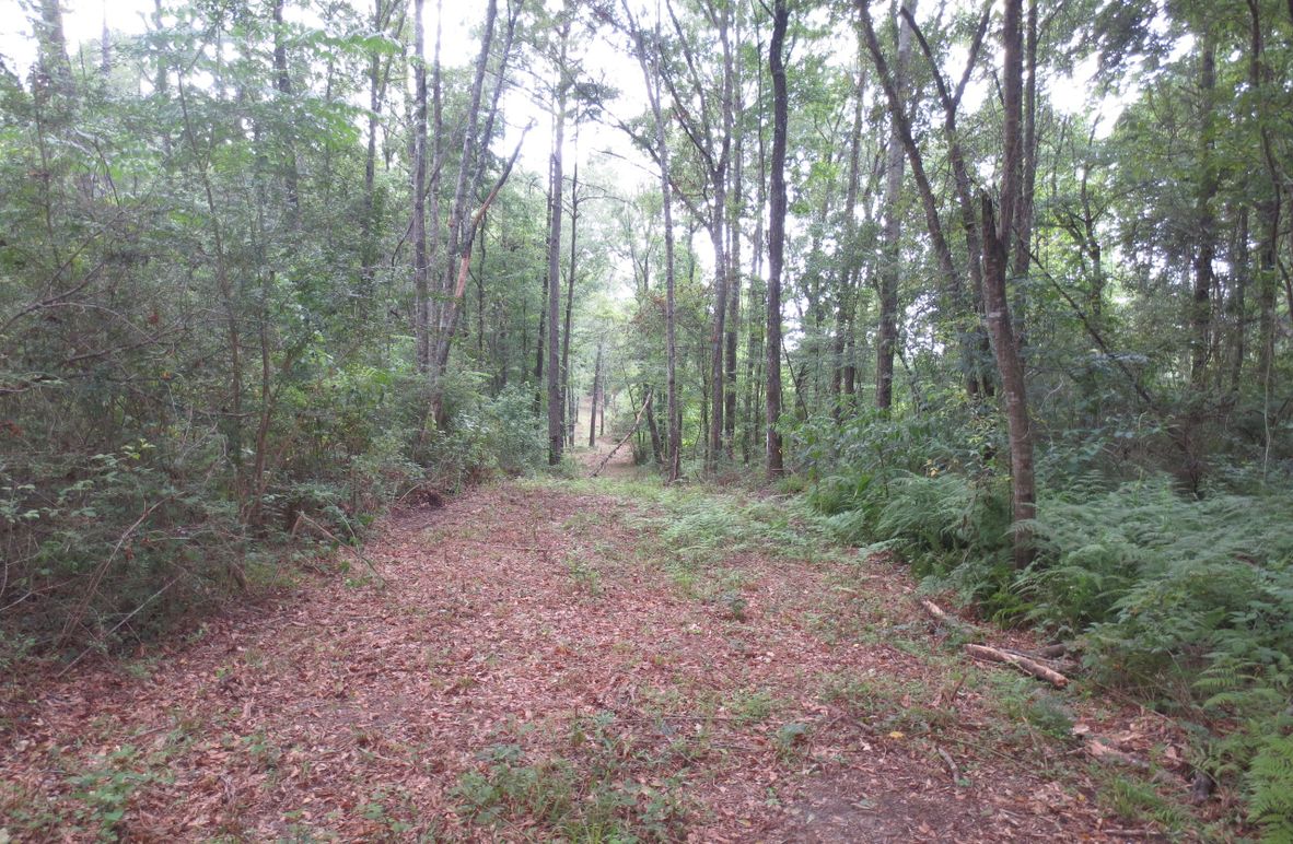 0C58D72A-3253-4191-A379-6CA1CB6B9950