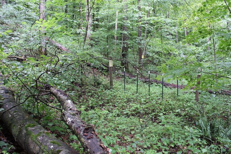 015 west boundary on old road