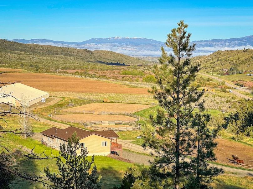 1.Home 20240515-IMG_9989