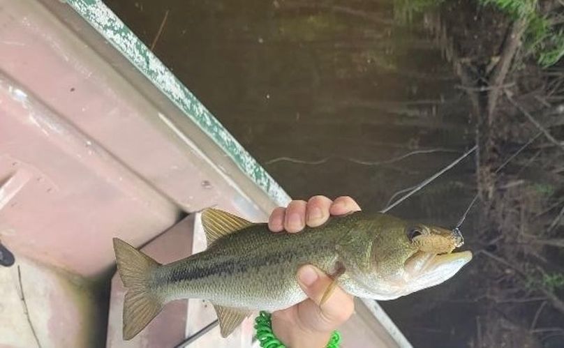 Resized_20220724_144551_(1)_1721430152664