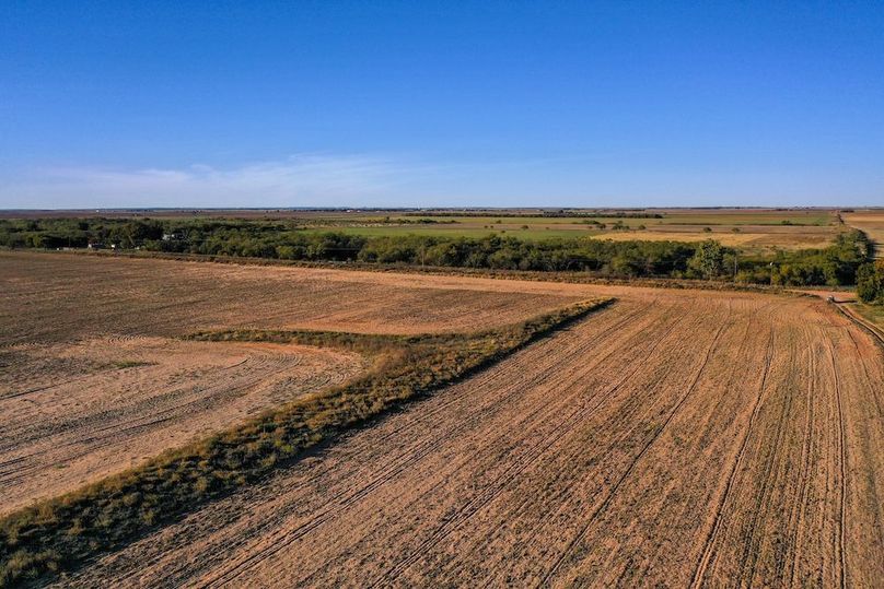 org_80e140d8be24c03f_1762730898000