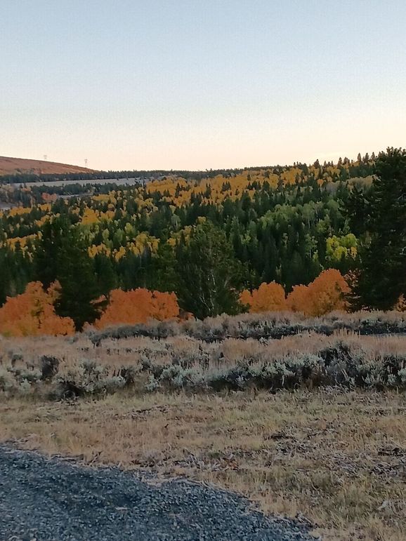 Resized_20250923_185100