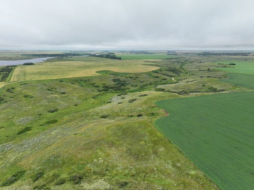 DJI_20250704140951_0620_D