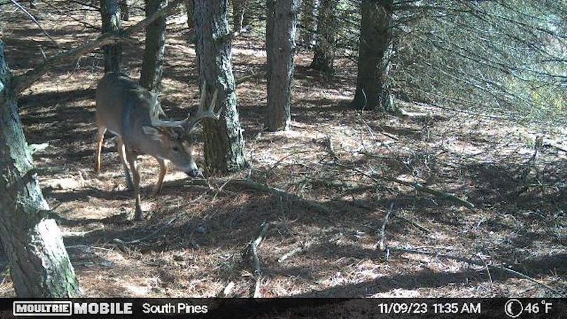 Temp_1082383-20231109173552-20231109113507_000765