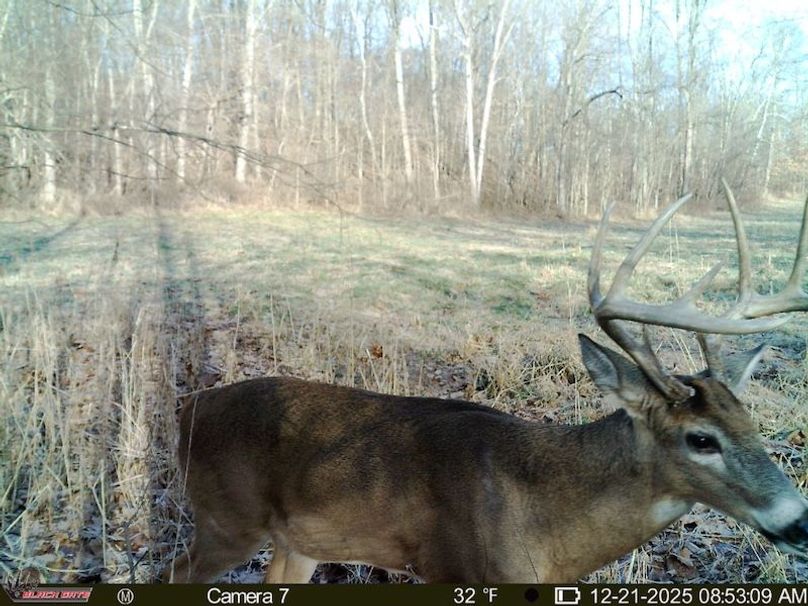 806A1DFF-8F61-4BEC-9DD8-479AEADB43E6