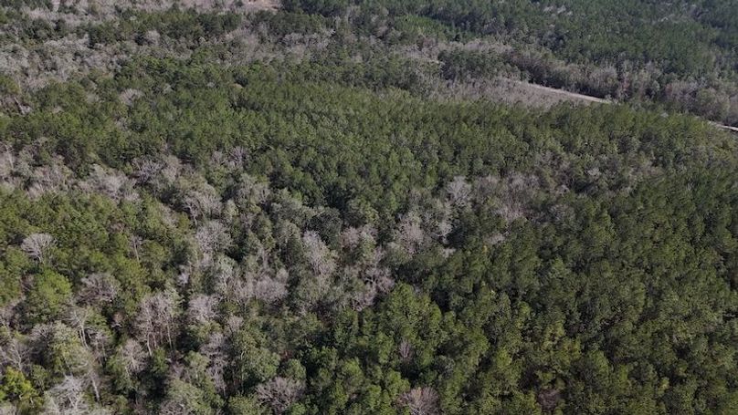DJI_20240226141707_0011_D