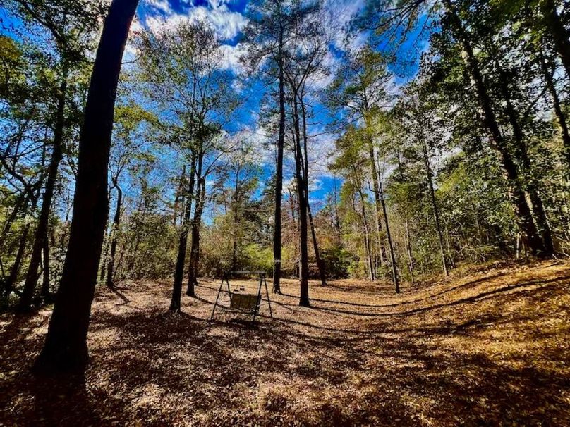 B9680770-6771-42E0-835F-6A3BDD588F8F_1_201_a